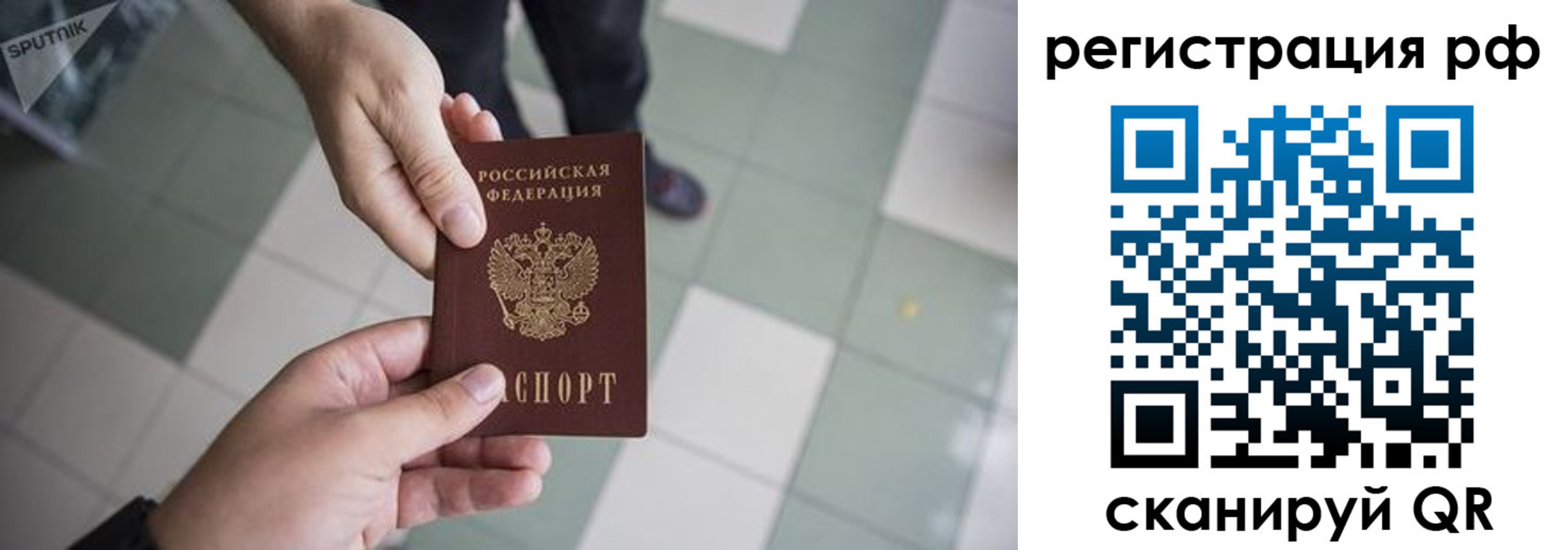 прописка гарантия в Котельниче